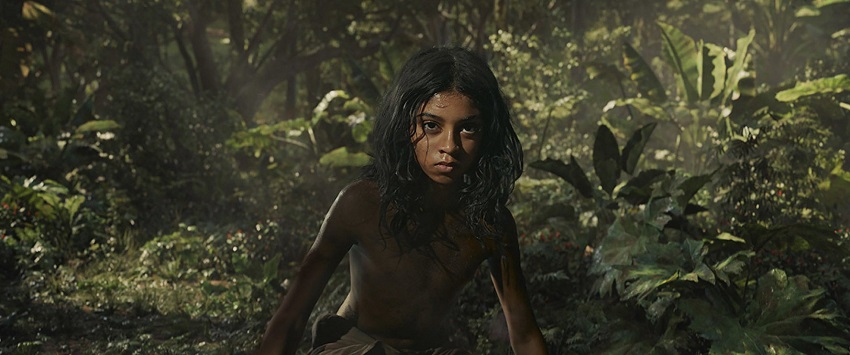 mowgli legend of the jungle rohan
